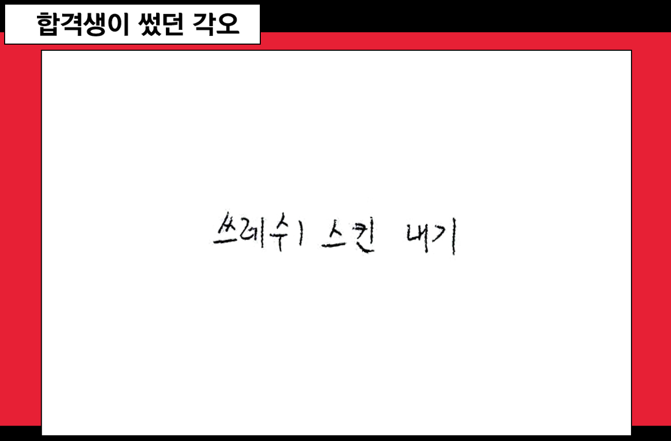 합격생이 썼던 각오 쓰레쉬 스킨 내기